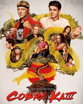 Cobra Kai: Season 3